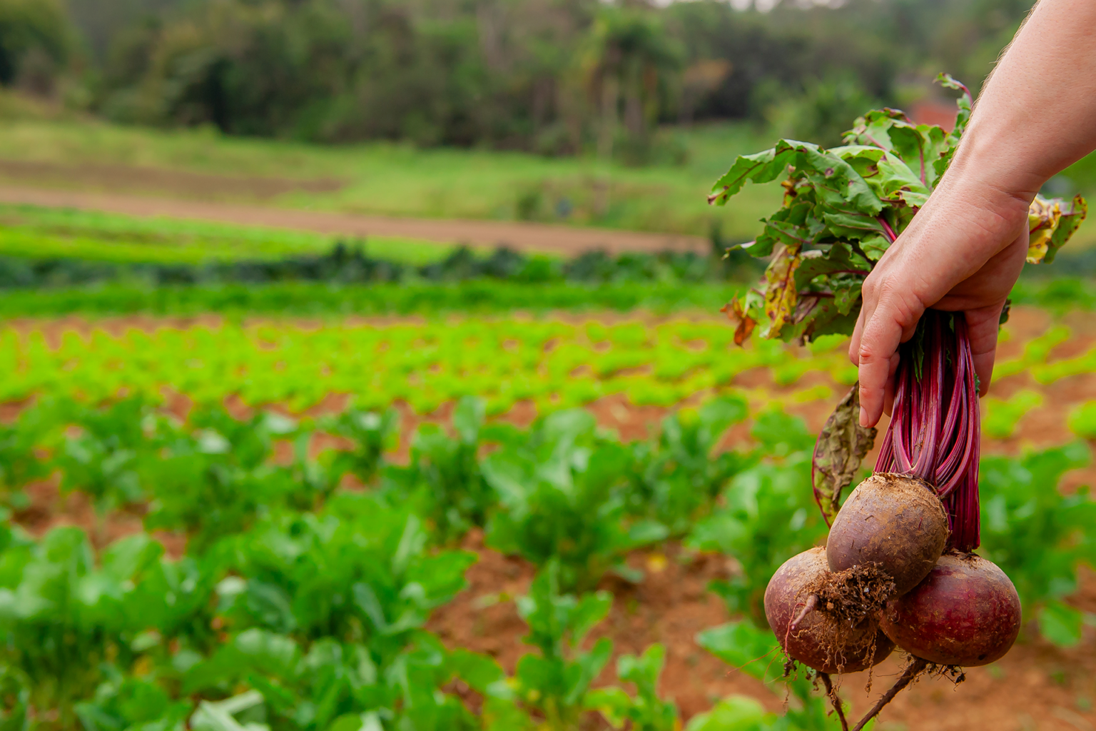 There are several sites that are prepared to welcome you