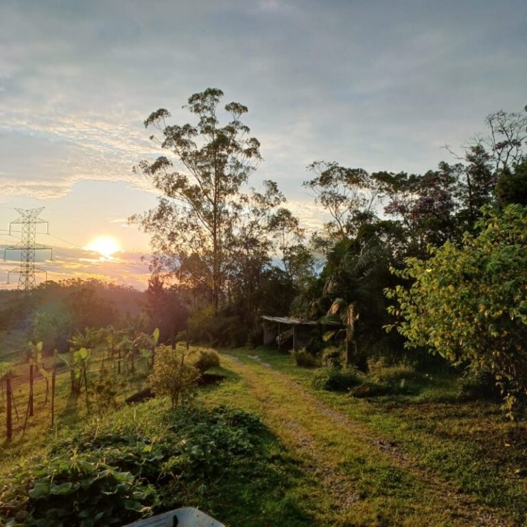 There are several sites that are prepared to welcome you