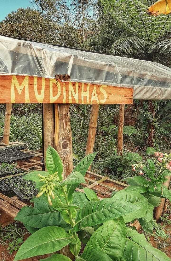 There are several sites that are prepared to welcome you