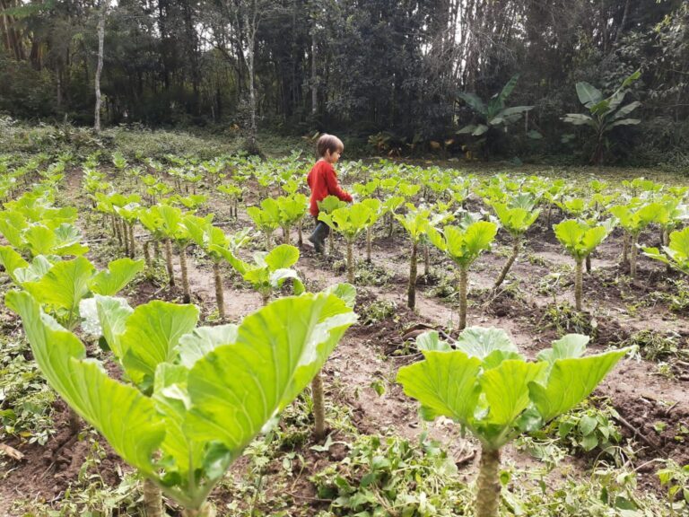 There are several sites that are prepared to welcome you