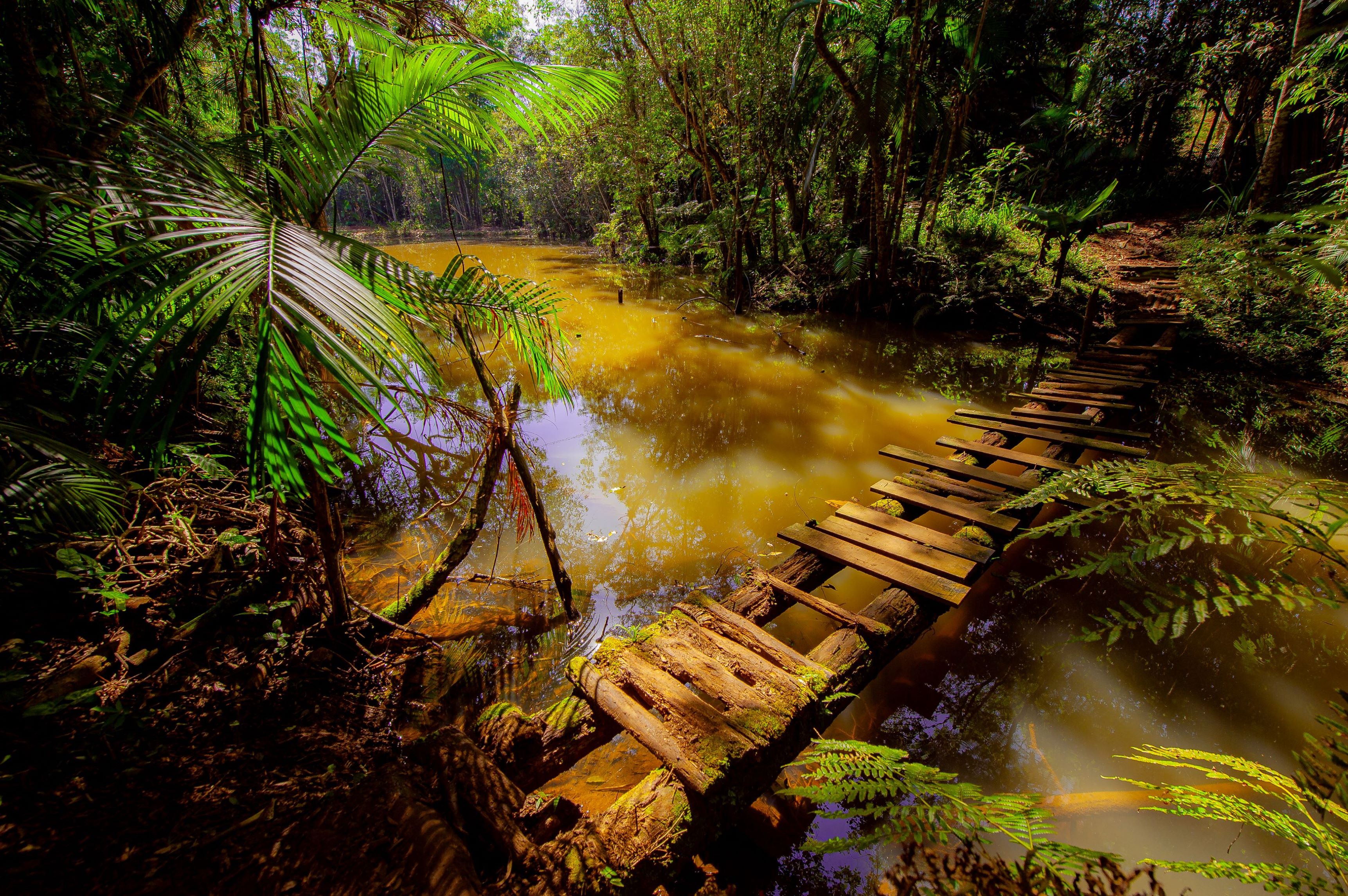 Community-Based Tourism and Ethno Tourism