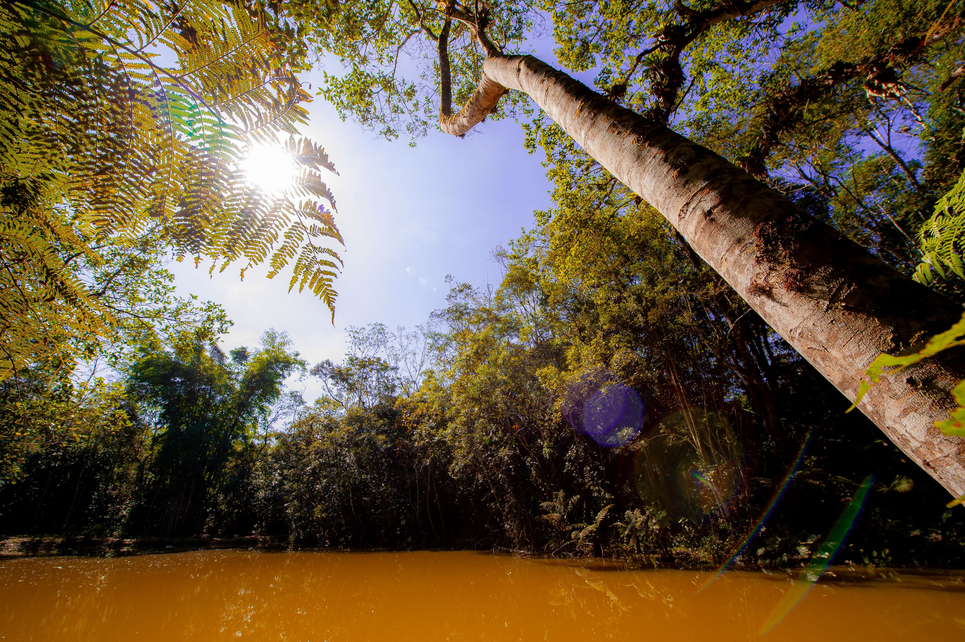 Community-Based Tourism and Ethno Tourism