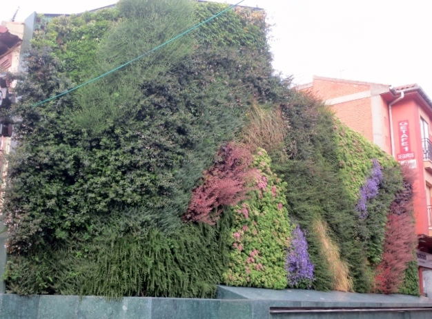 Zoom del Jardín Vertical Getafe