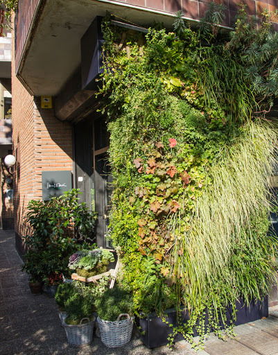 Jardín Vertical detalle lateral Floristería Llorents & Durán, Paseo de la Habana, Madrid