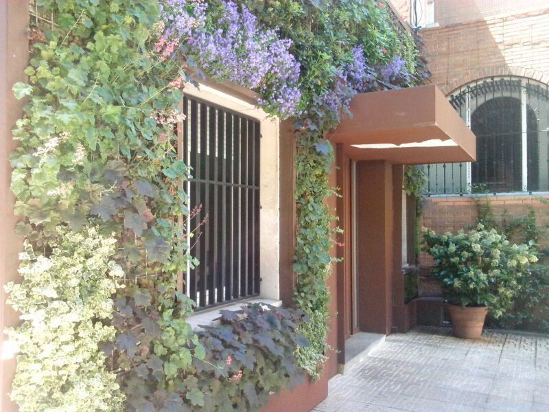 Vista lateral del Jardín Vertical Fachada Edificio Madrid