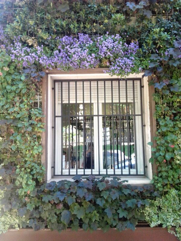 Detalle ventana del Jardín Vertical Fachada Edificio Madrid