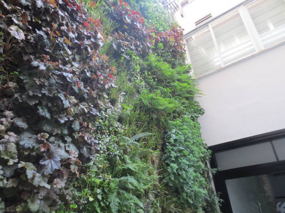 Detalle lateral Jardín Vertical Patio Interior Madrid