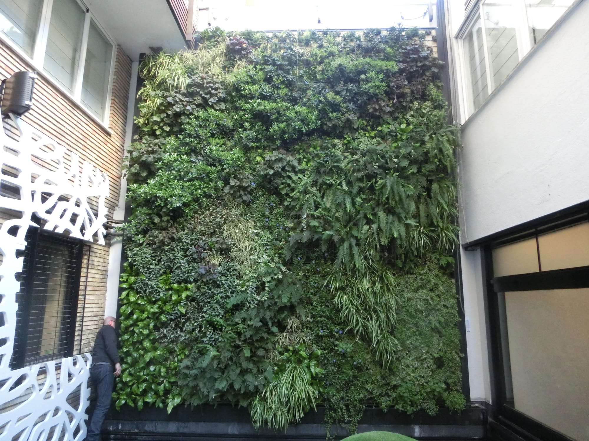 Jardín Vertical Patio Interior Madrid