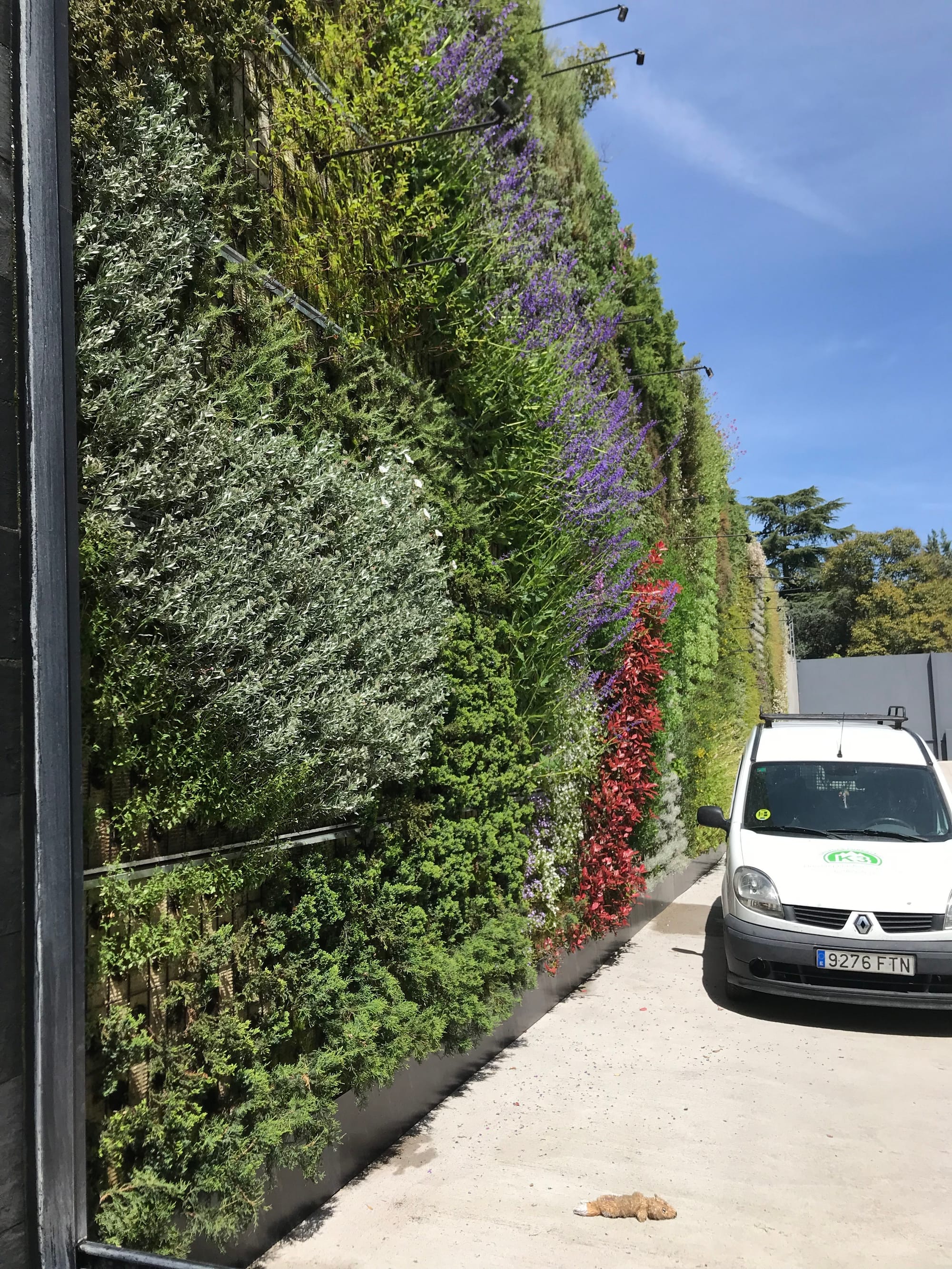 Perspectiva del Jardín Vertical Vivienda Unifamiliar, La Moraleja