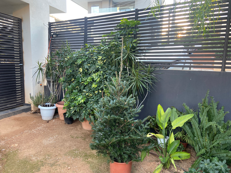 Japanese garden - South of Athens