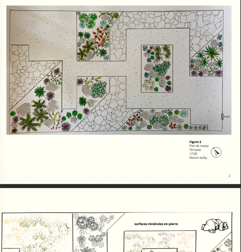 Collaborative work study - Paris