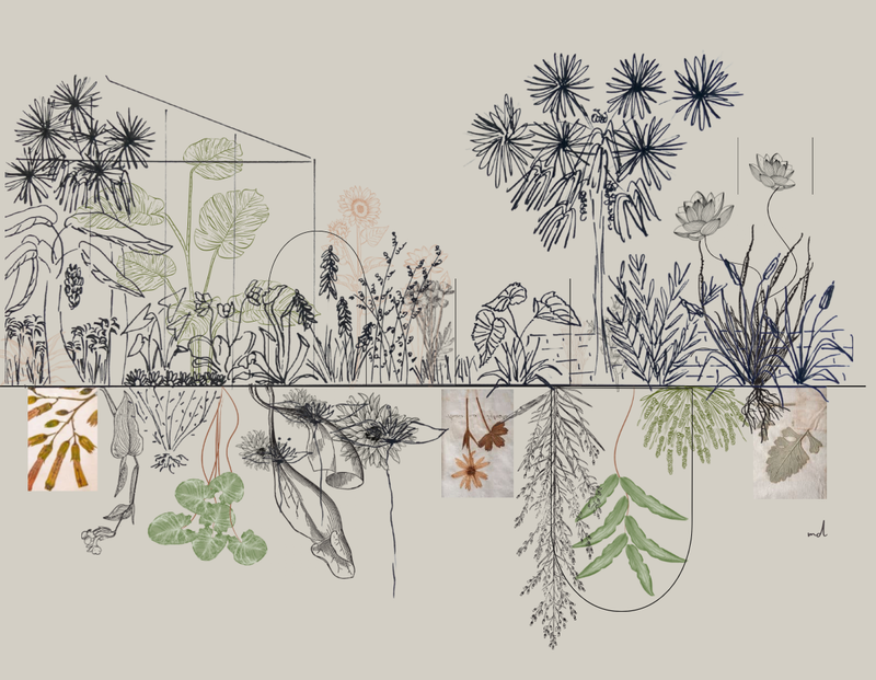 inspirational drawing