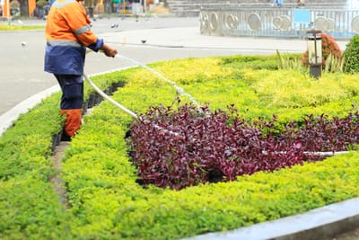 أفضل 10 خطوات لبرنامج Landscape maintenance للحفاظ على تنسيق الحدائق والميادين طوال العام