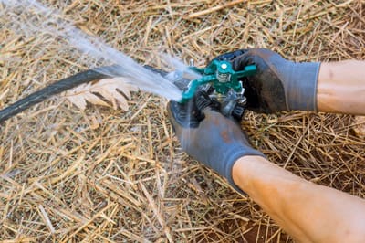 أهم 12 خطأ في Landscape maintenance تؤثر على تنسيق الحدائق والميادين وكيف تتجنبها