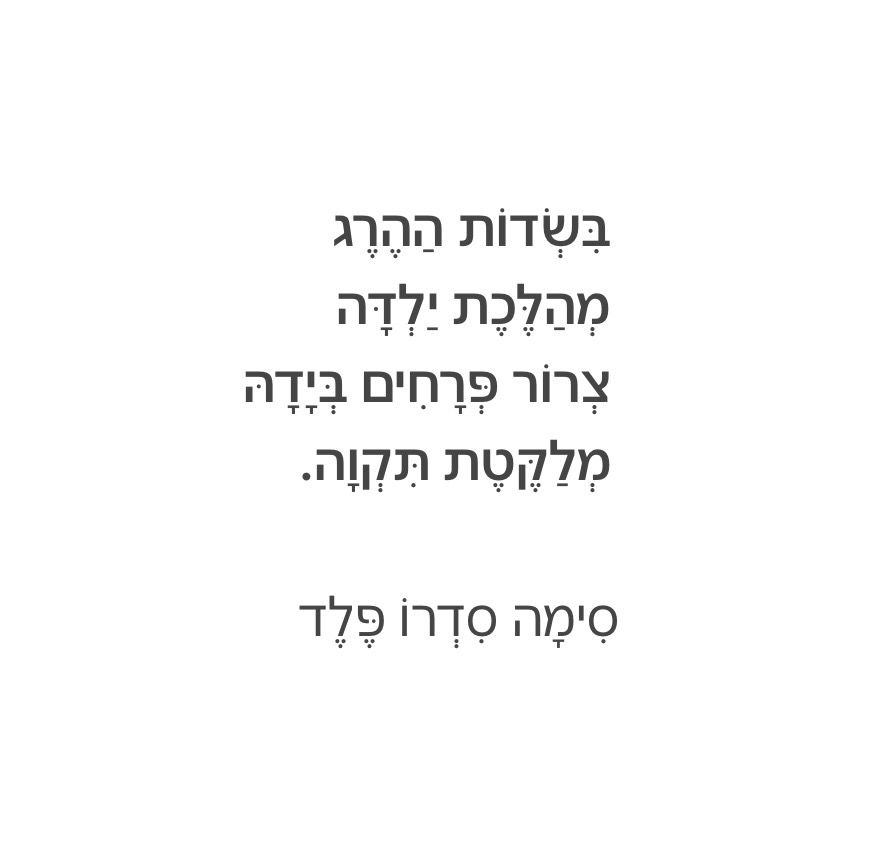 מלקטת תקווה - סימה סדרו פלד