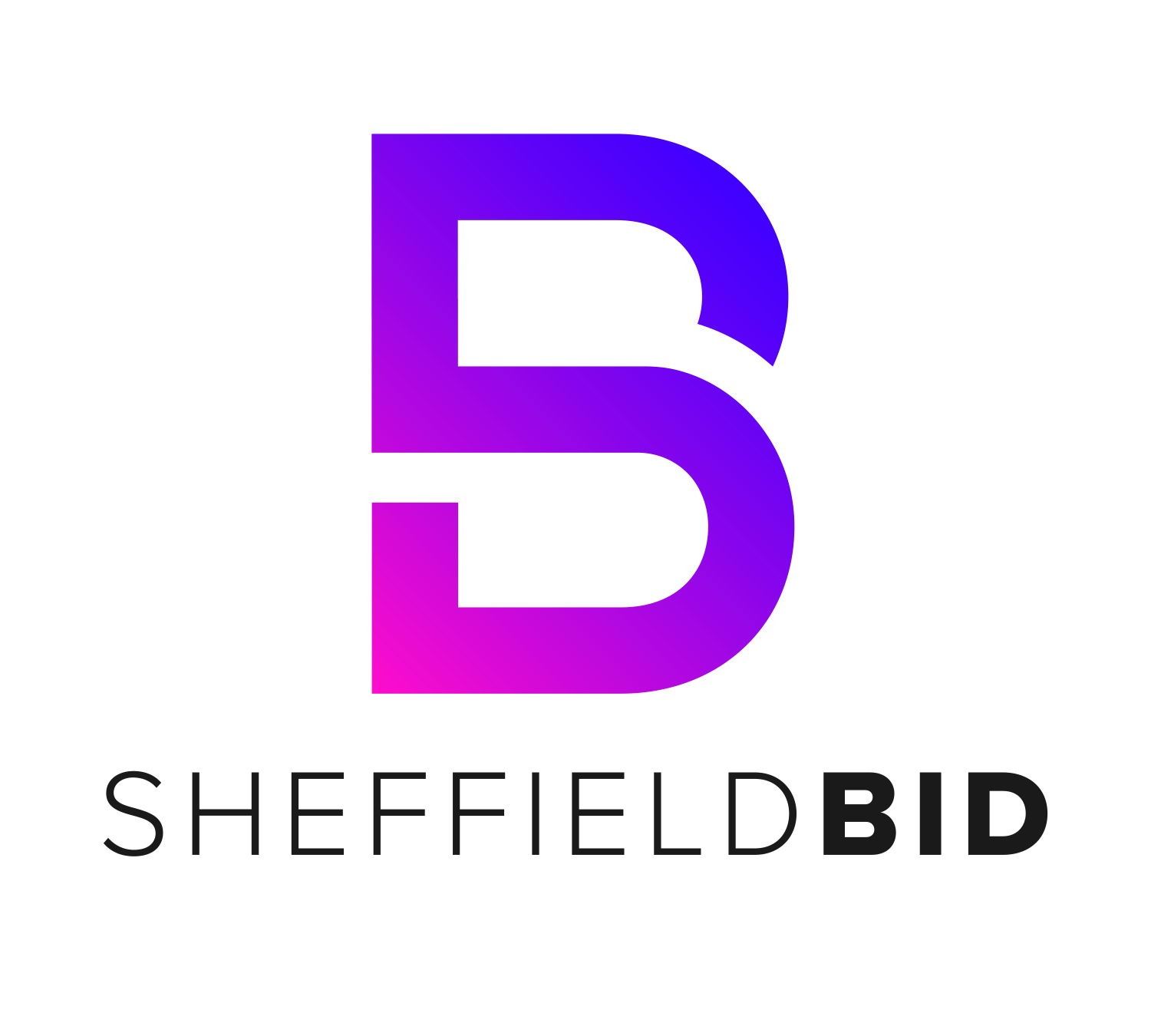 BID 3 - ballot declaration