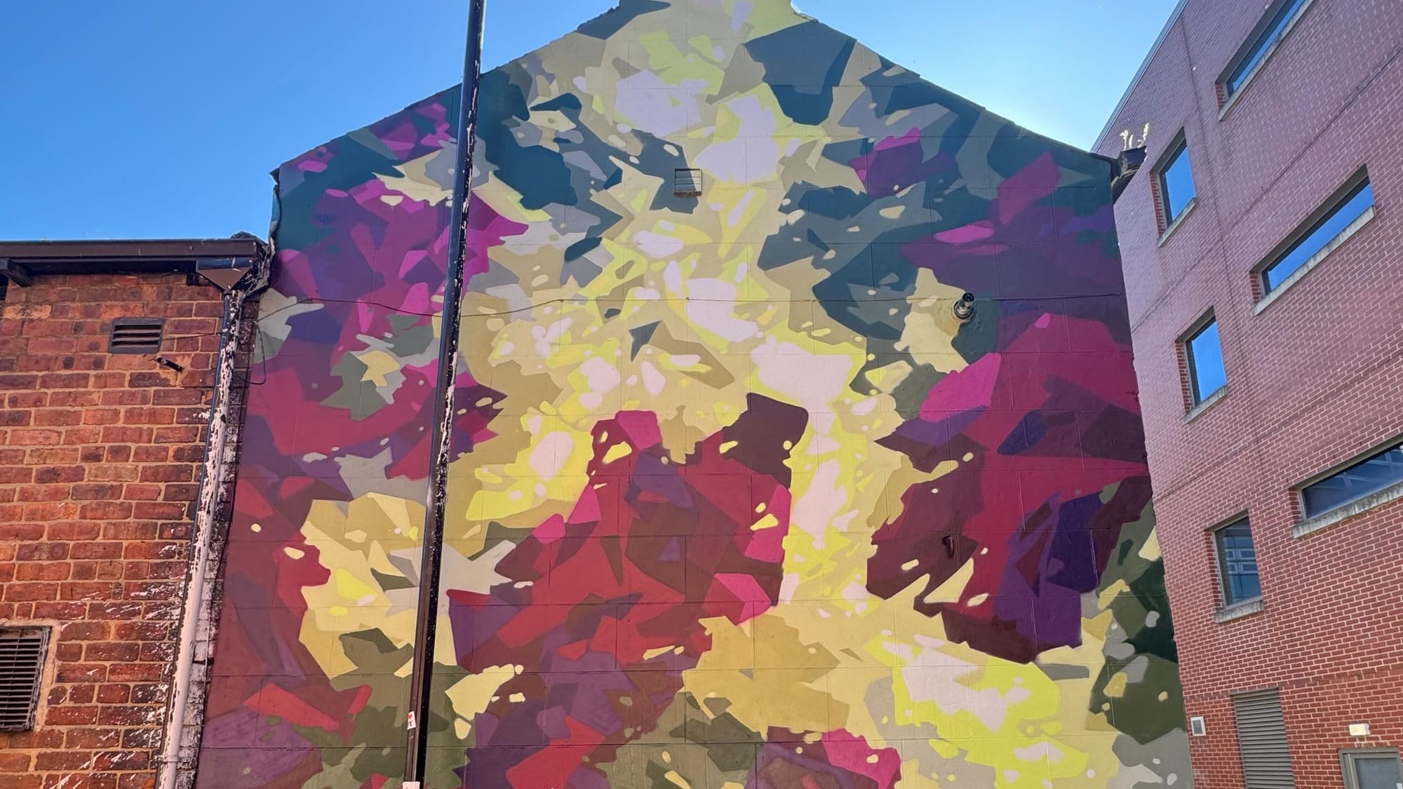 Charles Street mural brings new colour to city centre
