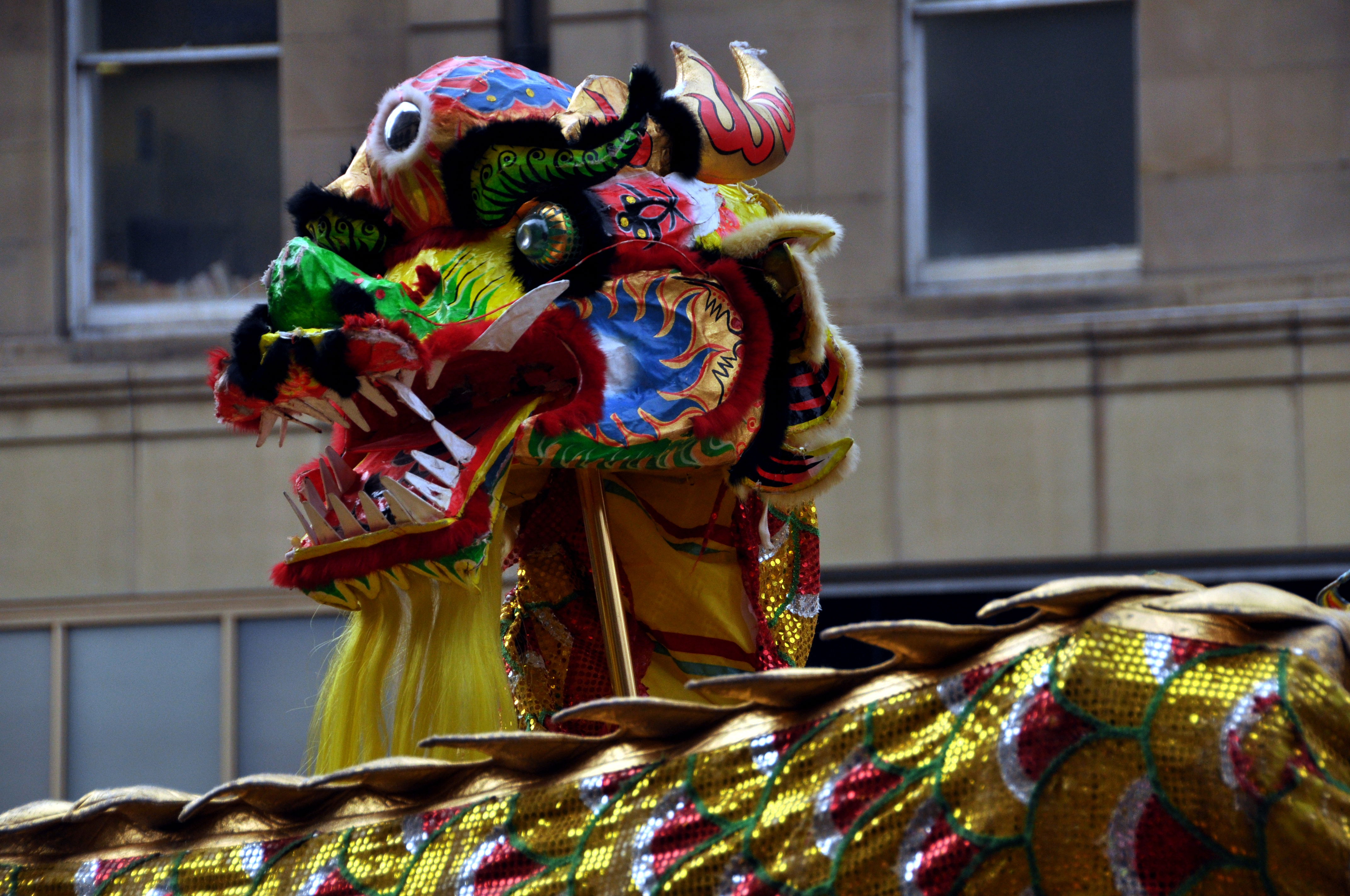 Photo of a Chinese Dragon costume