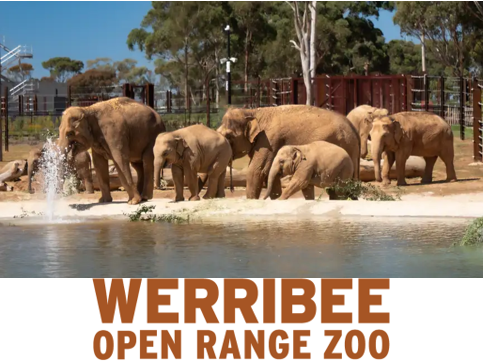 Werribee Open Range Zoo