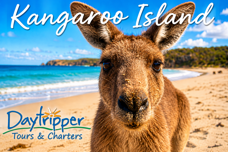 Kangaroo Island, S.A & the Overland
