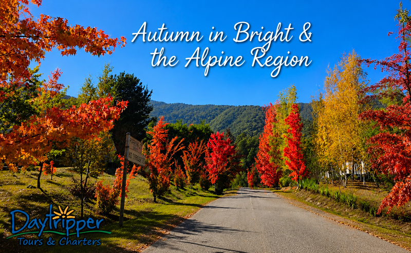 AUTUMN IN BRIGHT & THE ALPINE REGION - Coach - STAY PUT TOUR