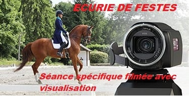 L’image contient peut-être : cheval et plein air, texte qui dit ’ECURIE DE FESTES Seance spécifique filmee avec vec visualisation’