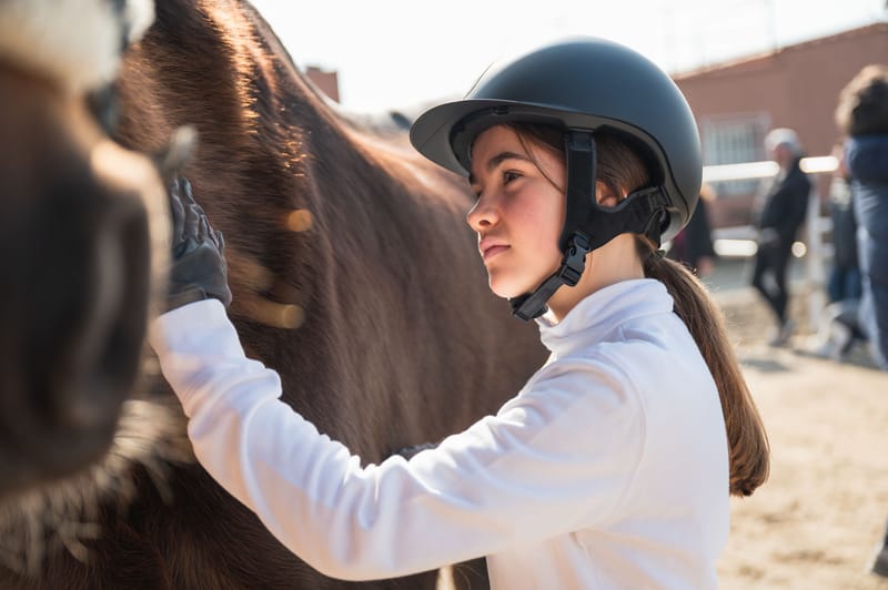 Locations cheval/poney avec enseignement
