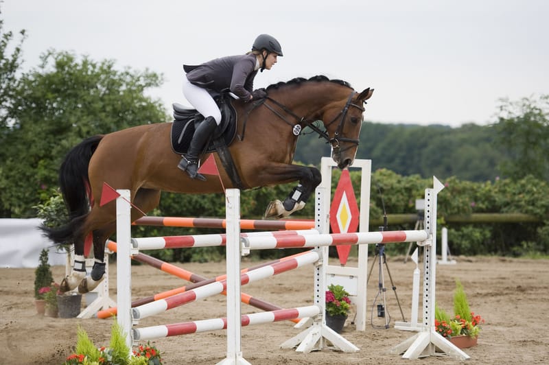 Coaching et Sorties en Compétitions