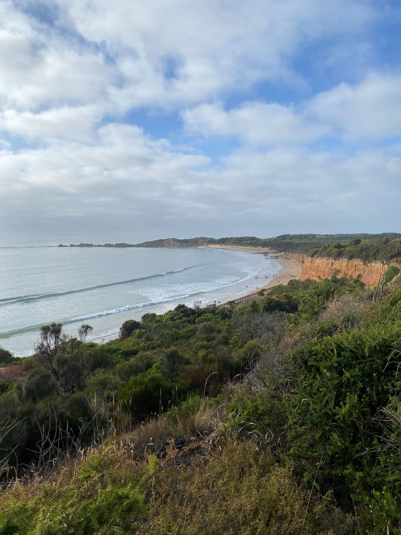 Engagement & Systems Insight