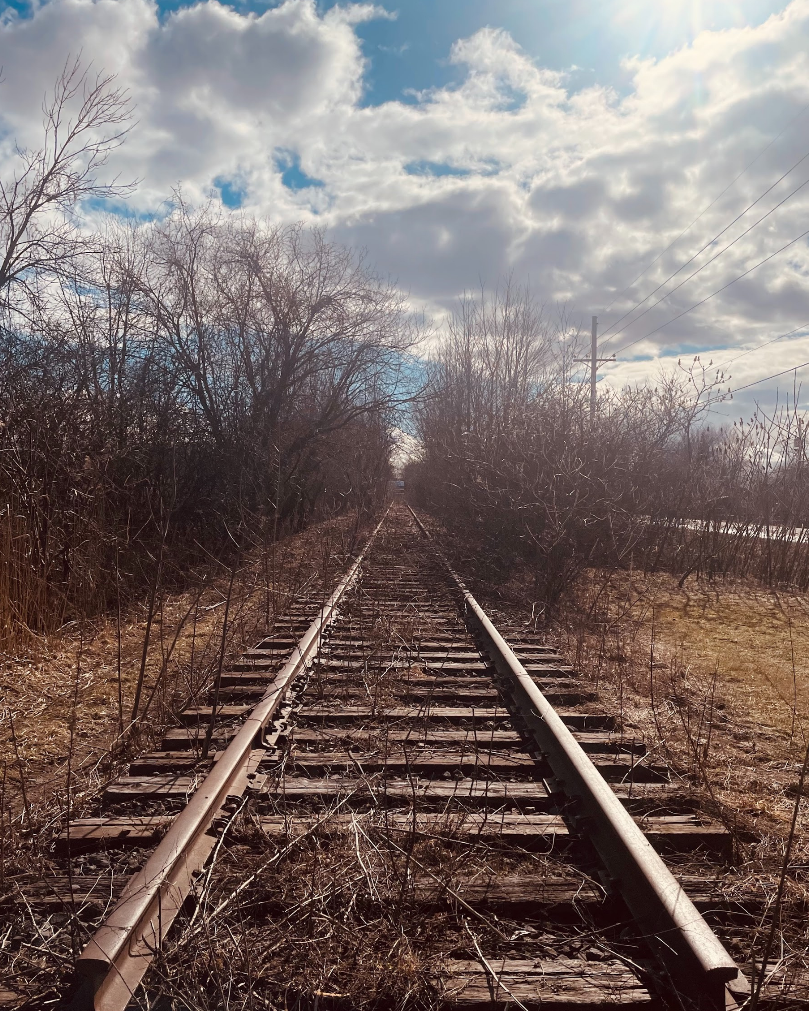 Un chemin vers nulle part par Juliette Boucher St-Cyr