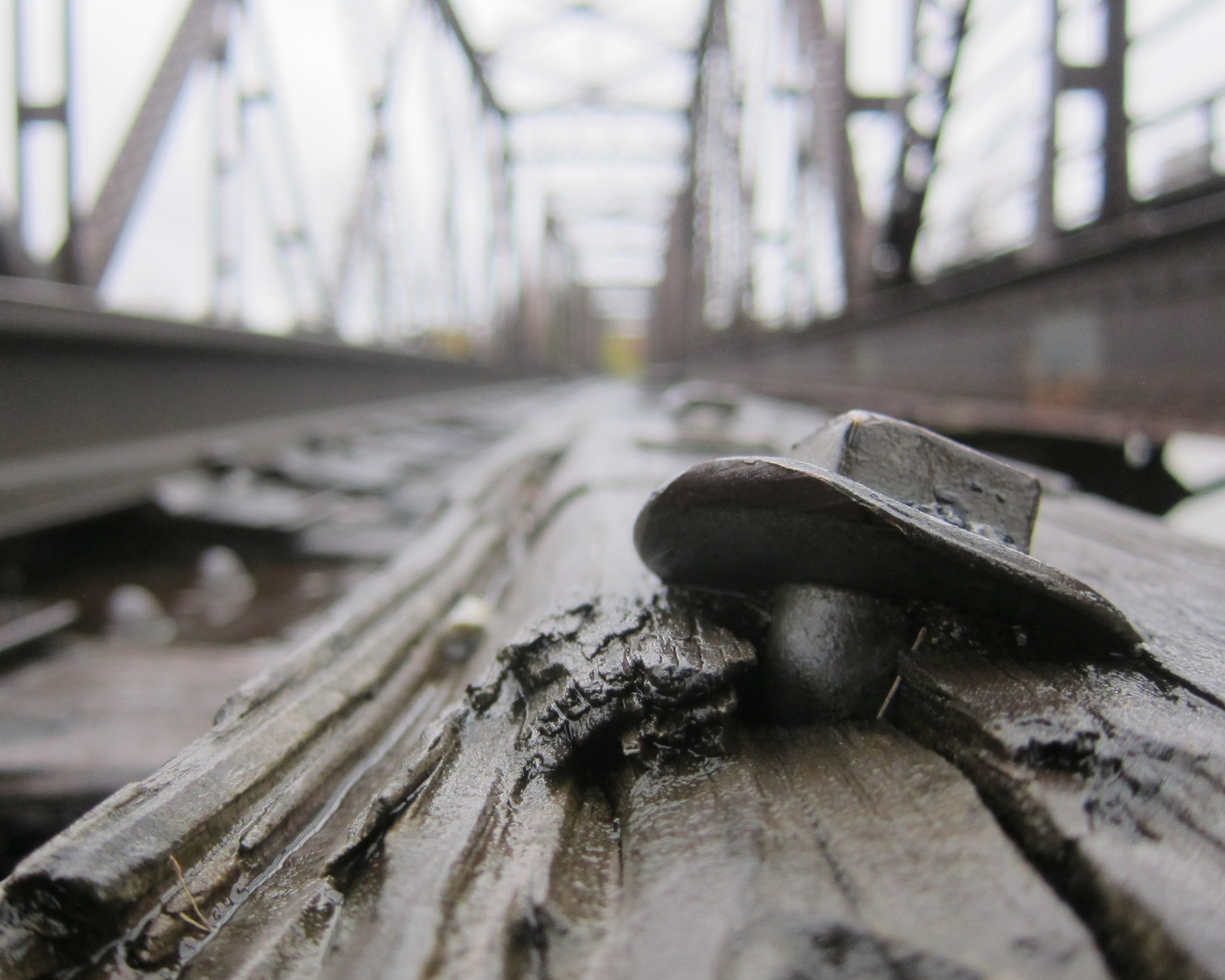 Le pont noir par Anne-Marie St-Yves
