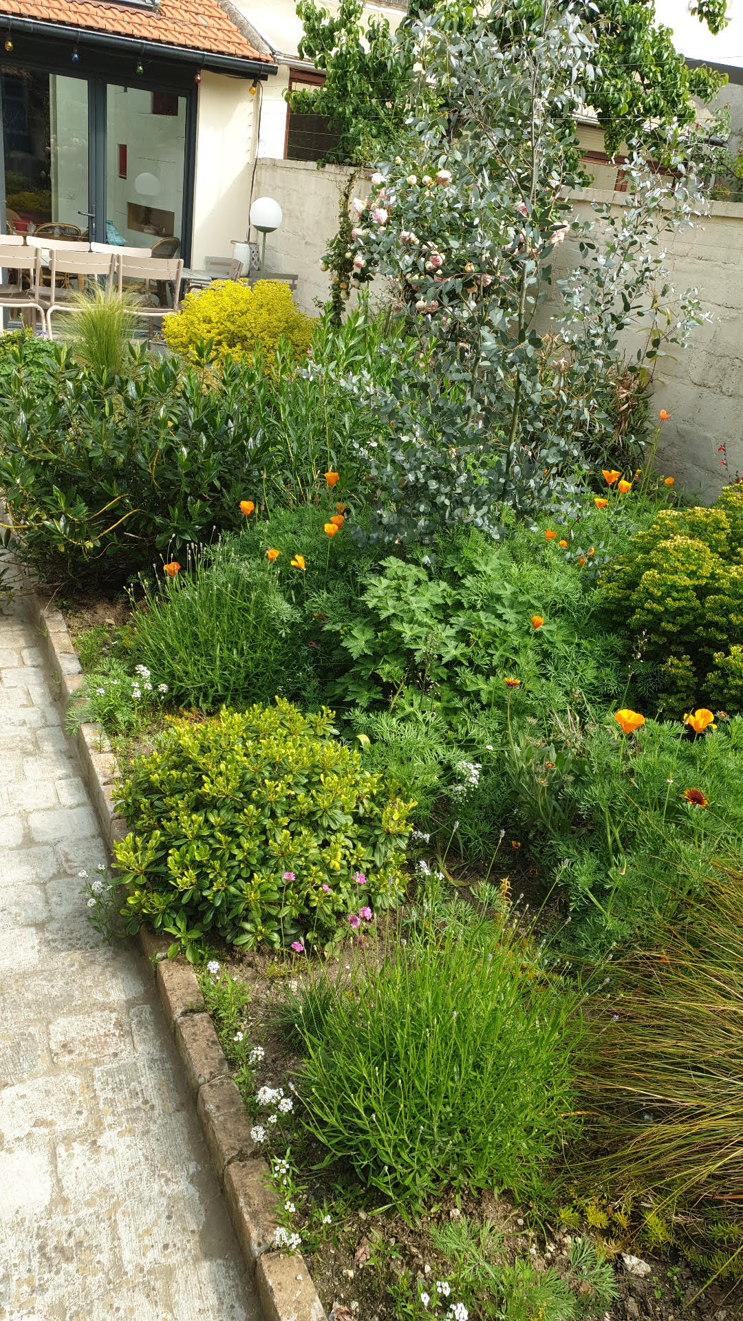 jardin avec dépendance