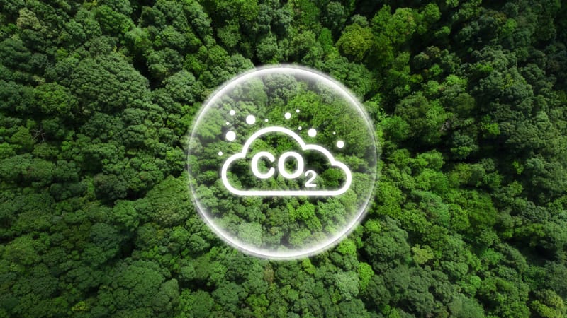 S1. LCA & carbon footprint