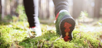 2025 3-Season Day Hike Kit