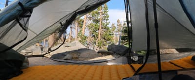 Tahoe Rim Trail 2025