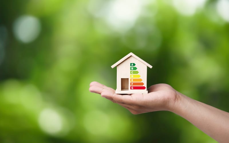 CONSULENZA LUCE &amp; GAS