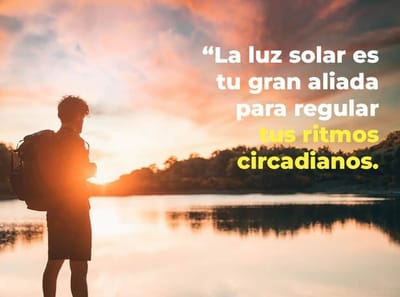 Sistema inmune y ritmos circadianos. La conexión inseparable entre ambos para una salud óptima.