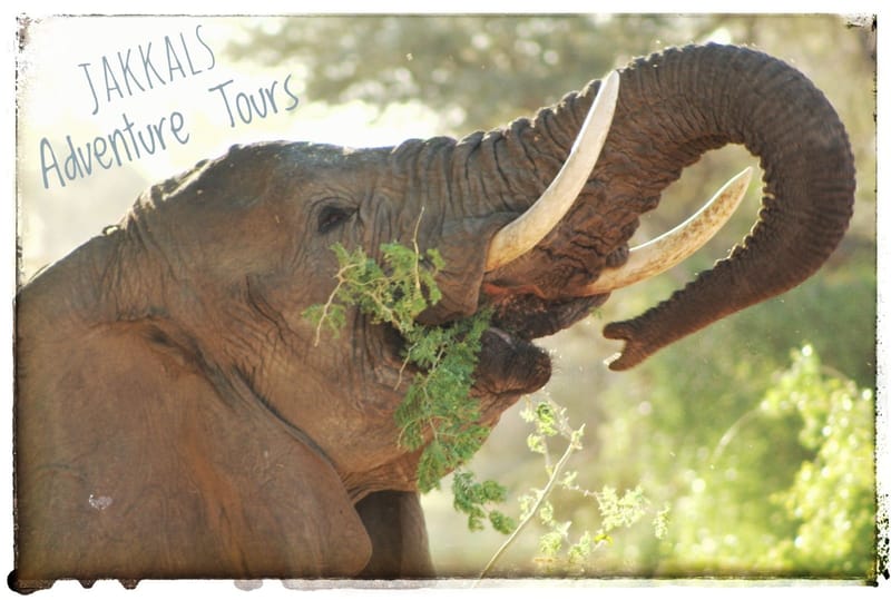 Rivers of Kaokoland and Damaraland