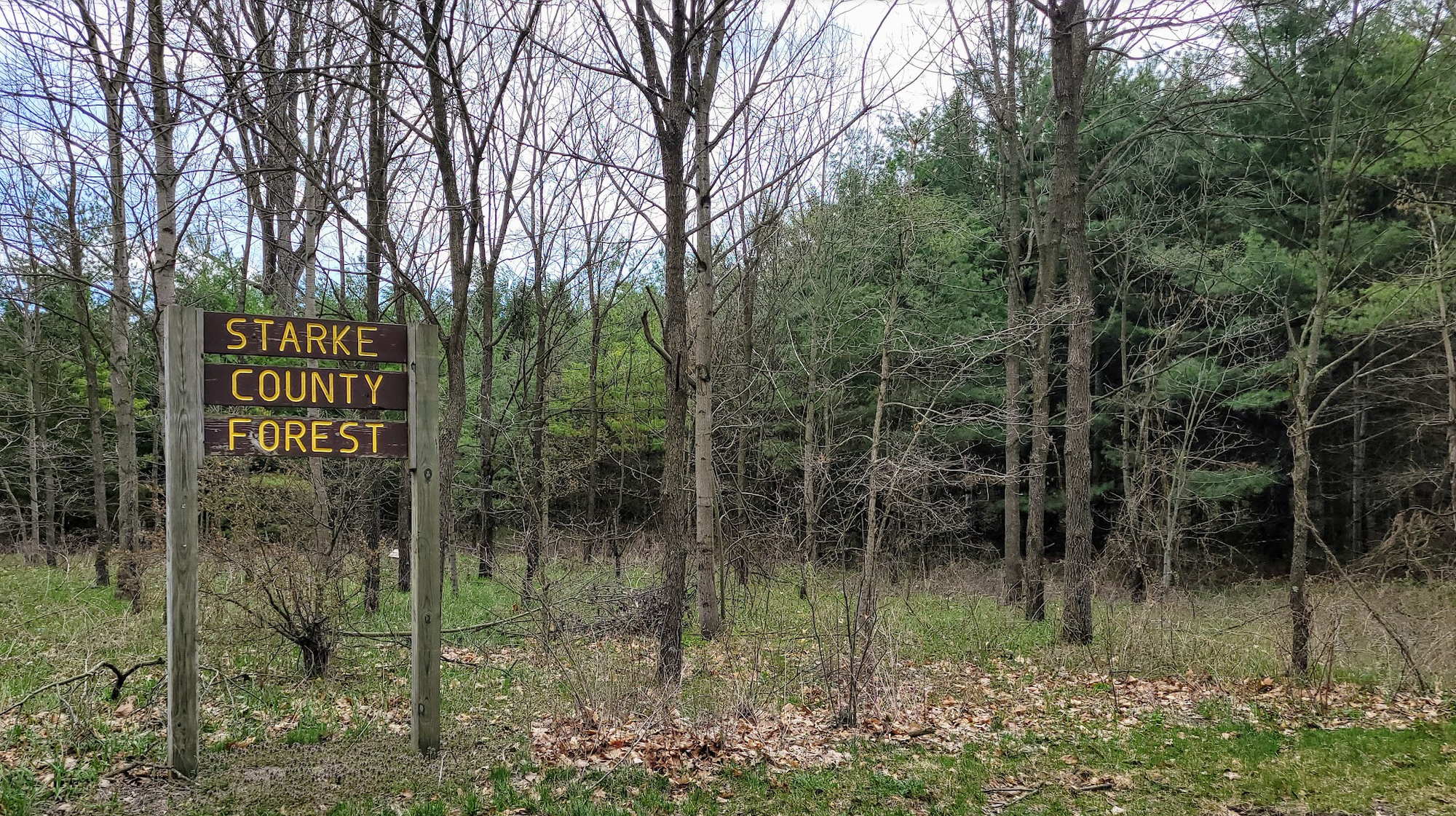 The Starke County Forest by Bruce Wakeland, Starke County Forester
