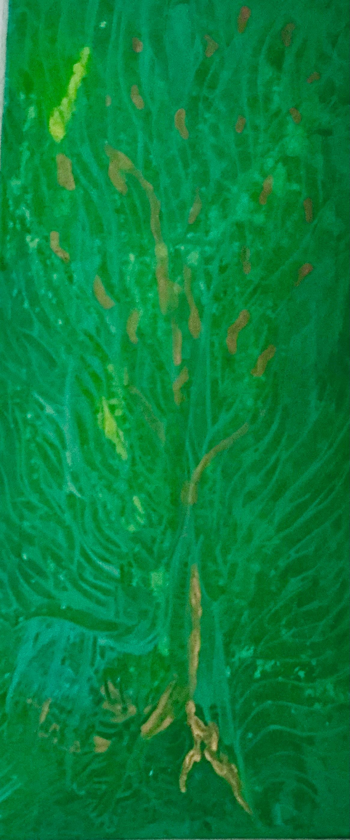 Semences d’étoiles