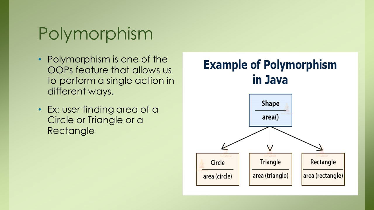 Polymorphism