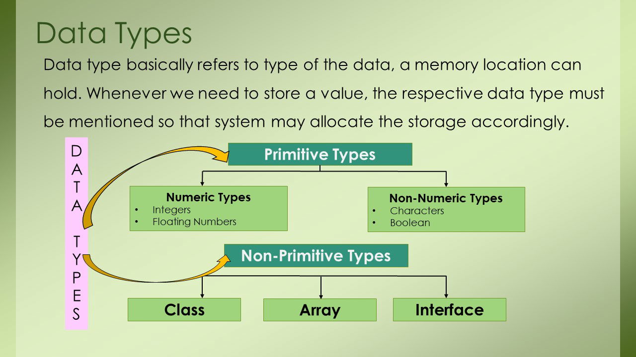 Data Type