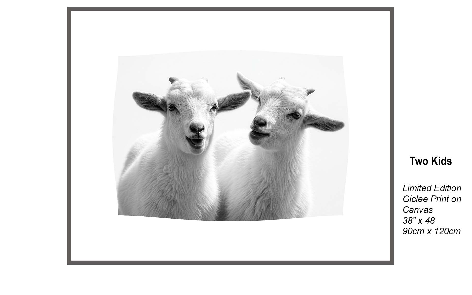 Two Kids – Minimalist Black & White Goat Portrait | Limited Edition Giclée Canvas Art