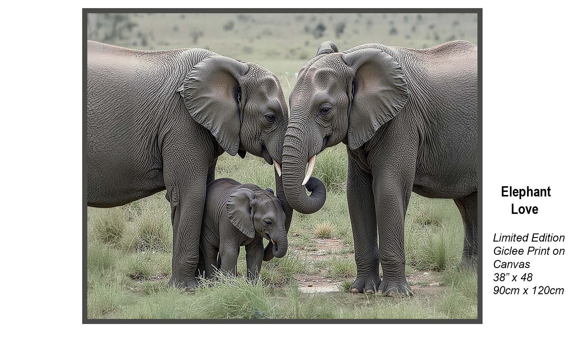 Elephant Love – Majestic Wildlife Family Portrait | Limited Edition Giclée Canvas Art