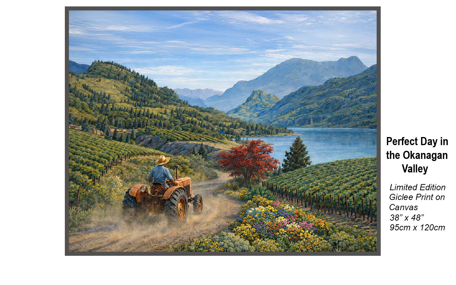 Perfect Day in the Okanagan Valley – Idyllic Vineyards & Timeless Wine Country