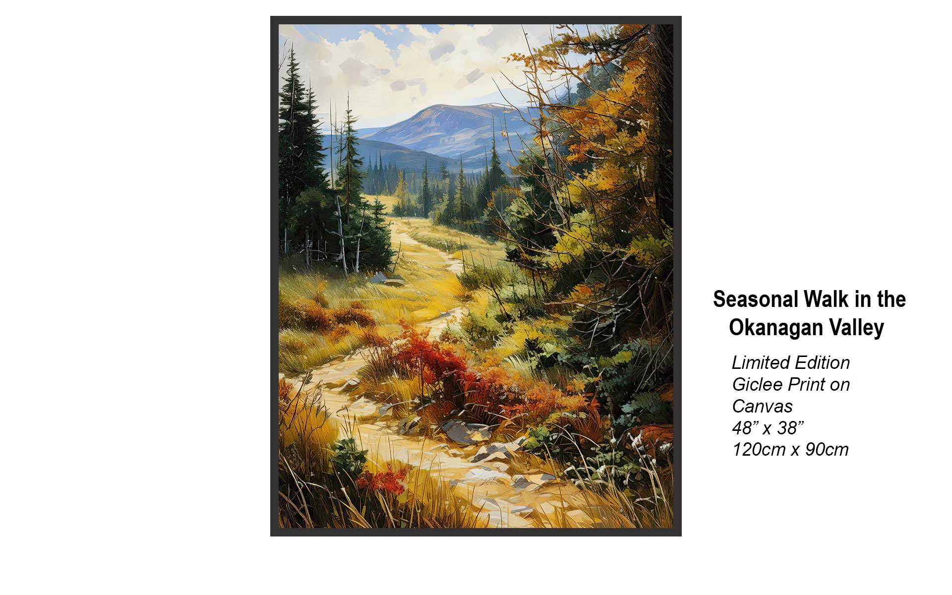 Seasonal Walk in the Okanagan Valley – Breathtaking Beauty & Serene Mountain Trails