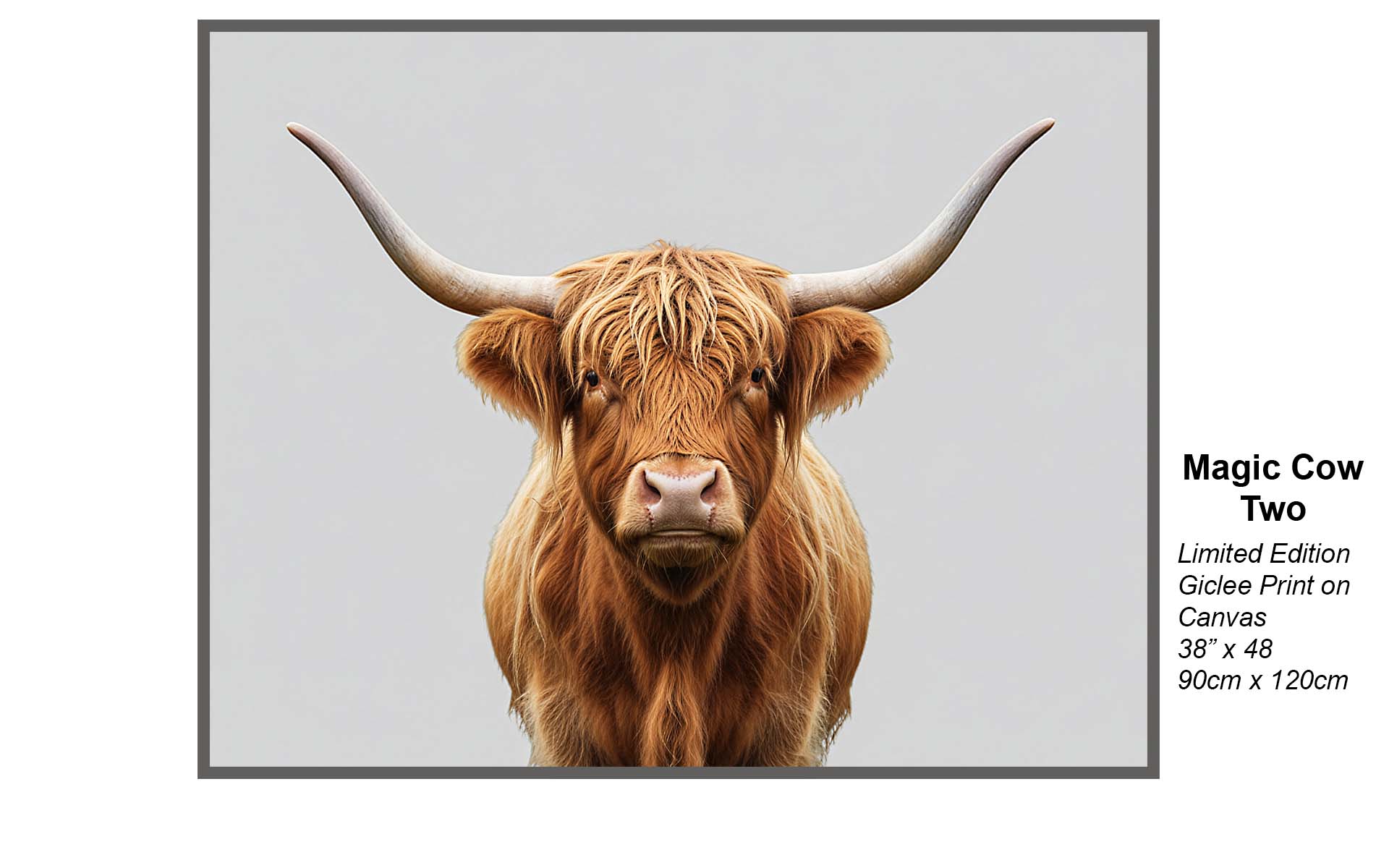 Magic Cow Two – Highland Shaggy Cow Portrait | Limited Edition Giclée Canvas Art