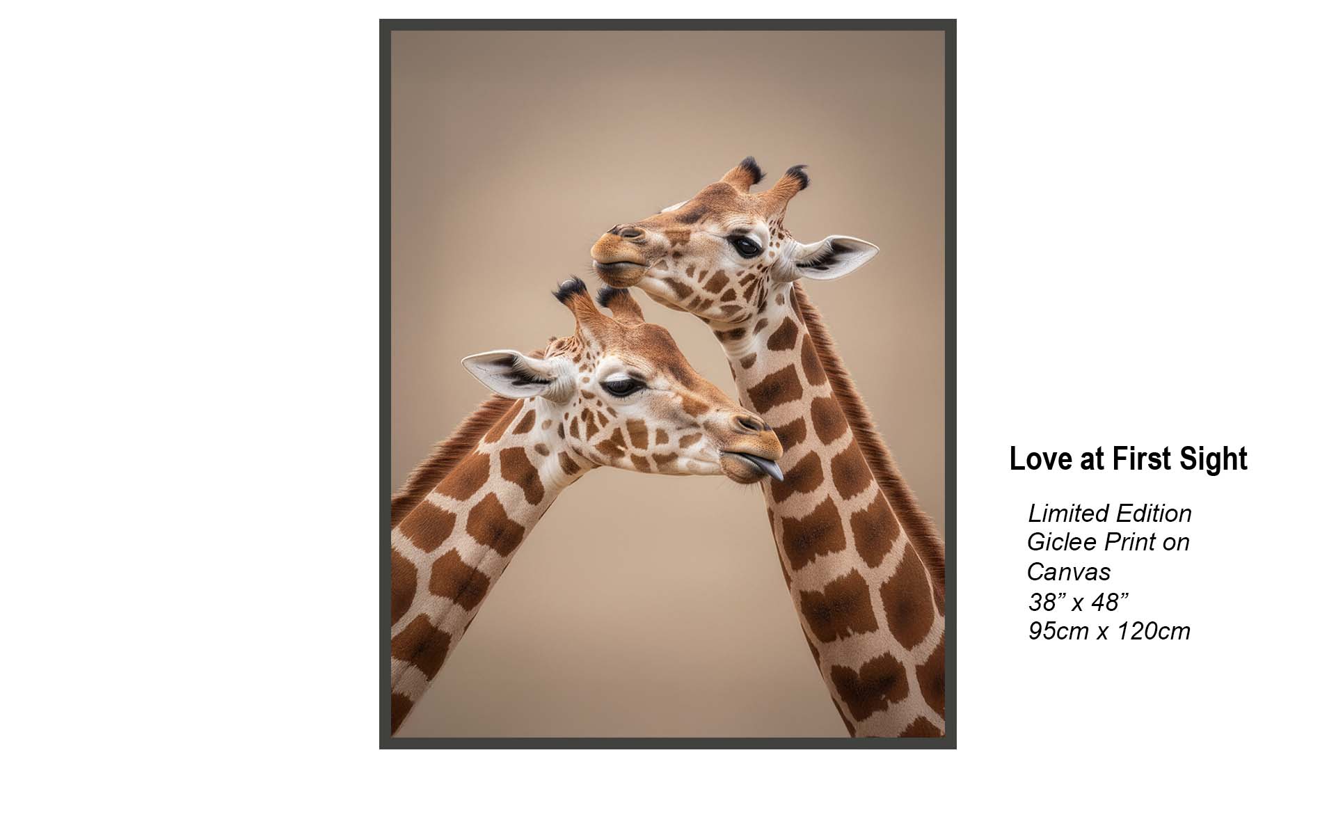Love at First Sight – Romantic Giraffe Portrait | Limited Edition Giclée Canvas Art