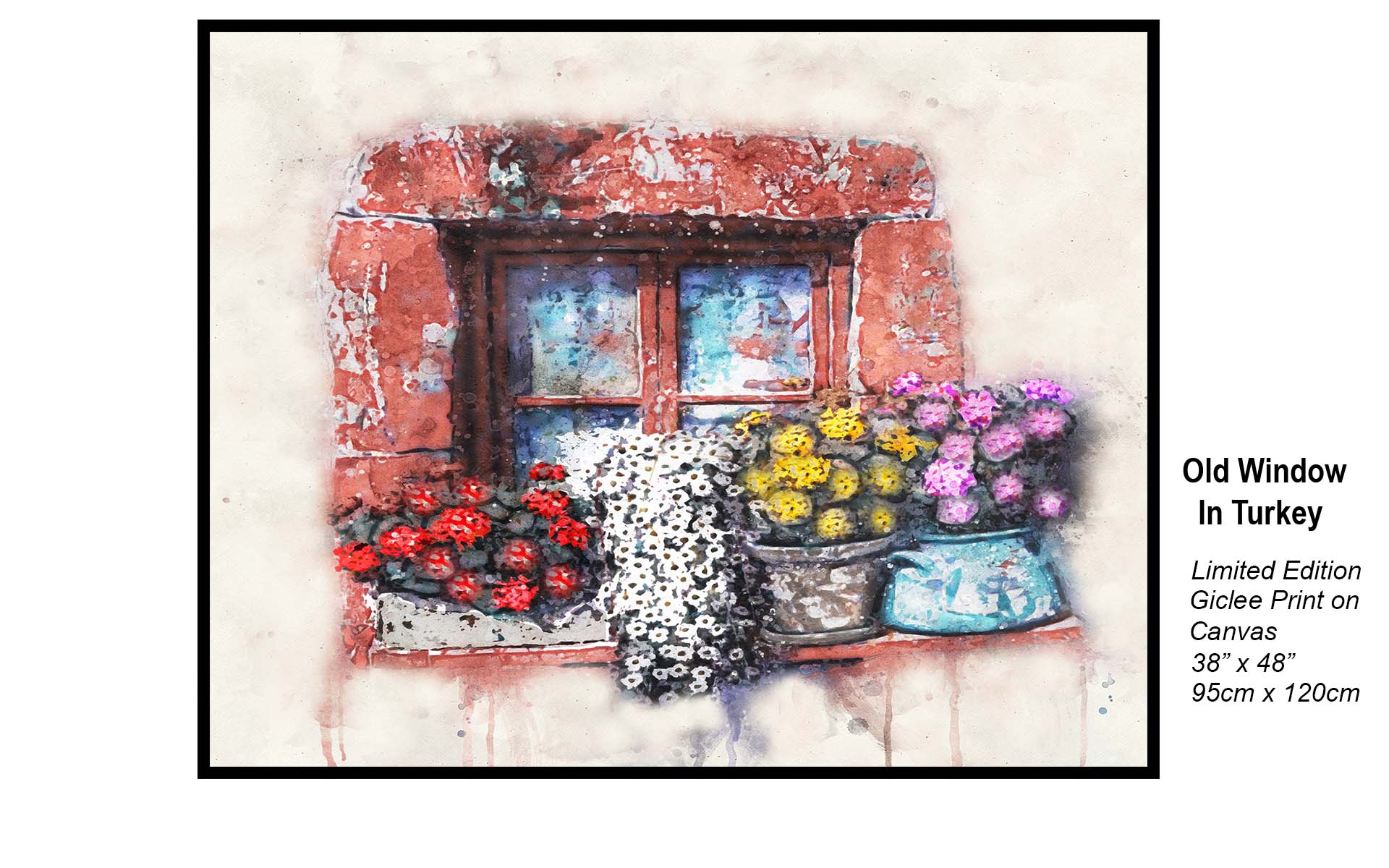 Old Window – Turkish Window Floral Wall Art | Limited Edition Canvas Print