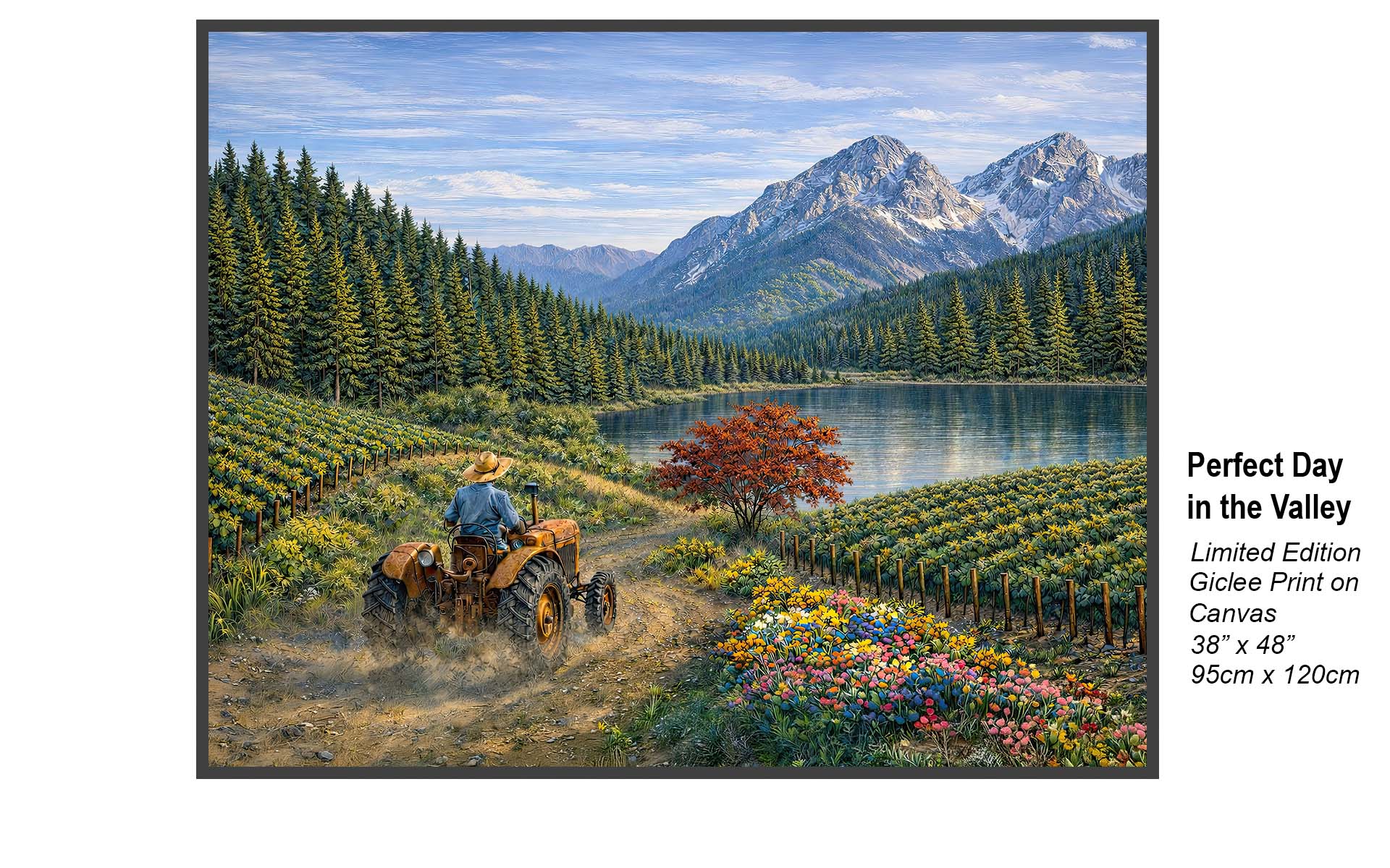 Perfect Day in the Valley – Serene Mountain Vineyard Landscape | Limited Edition Canvas Art